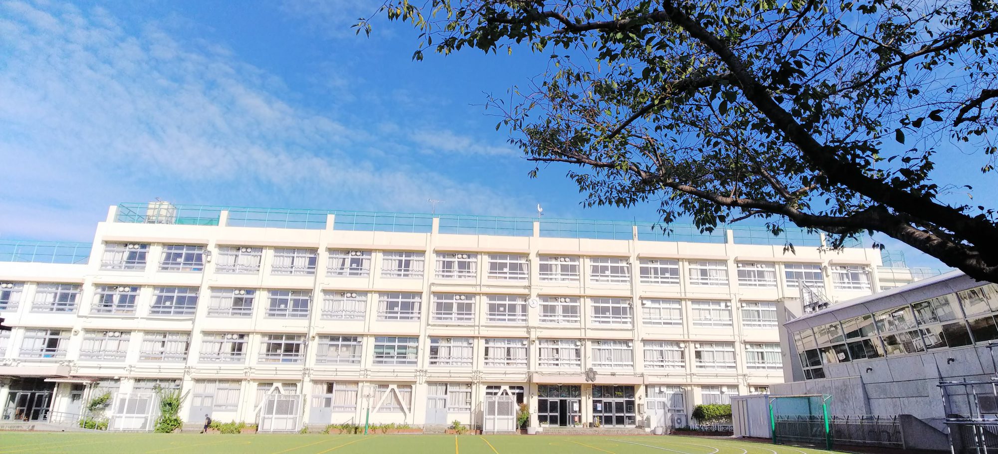 渋谷区立中幡小学校PTA